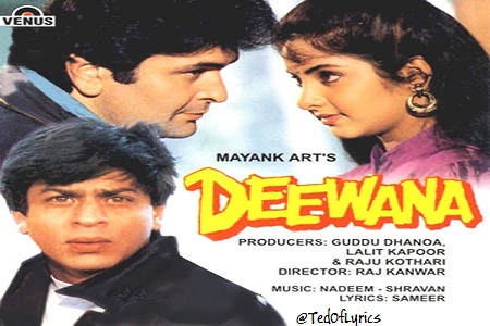 Deewana-1992-Songs-Lyrics-TedOfLyrics
